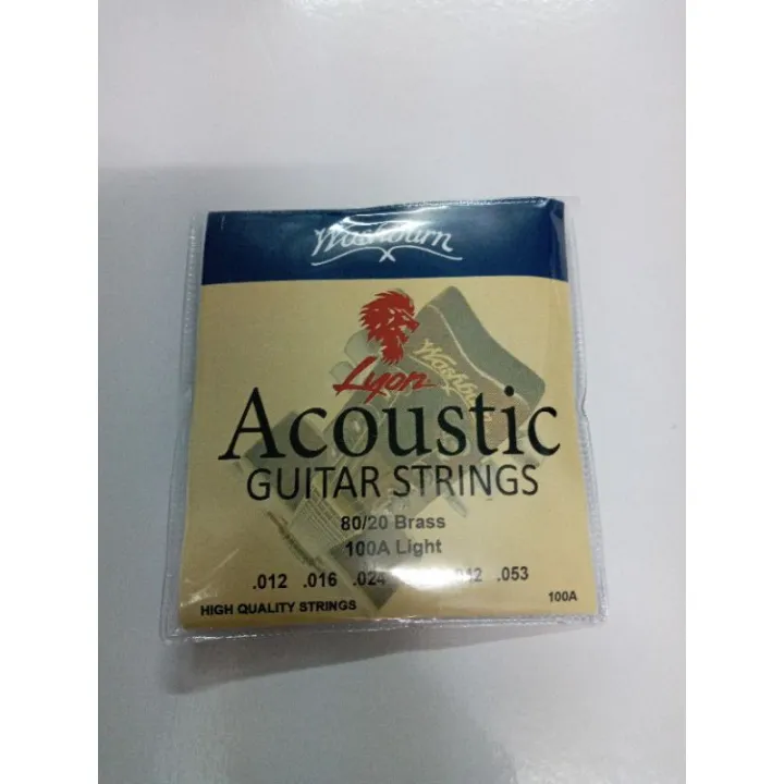 Acoustic Guitar Strings Set 100A Lyon by Washburn Lazada PH