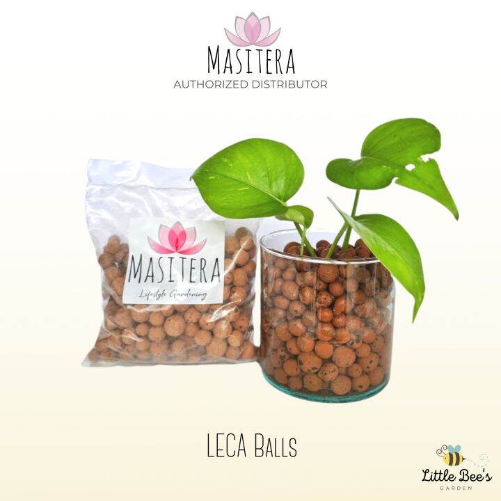 Masitera LECA Balls 1/2L [Little Bee's Garden] | Lazada PH