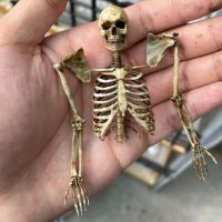 1/12 Scale Human Skeleton Skull Half Body Skeleton Model For 6In 7In Scene Accessory Action Figure Toys