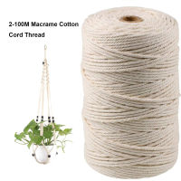 2-100M Macrame Cotton Cord Thread for Handmade Natural Cotton Macrame Rope DIY Craft Knitting Making Plant Hangers Wall Hangings-Laocher