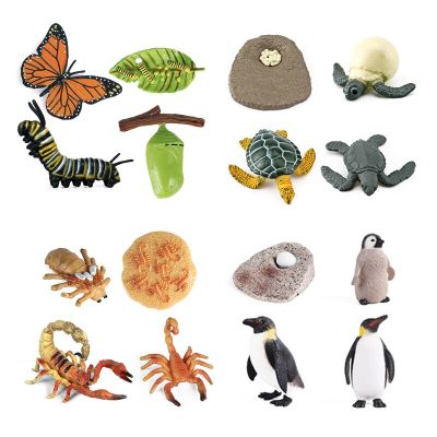 ZZOOI New Simulation Oceans Animal Insect Life Cycle Butterfly Snail Penguin Action Figures Collection Science Educational Toys Kids