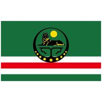 YEHOY 90x150cm  Chechen Republic State Flag