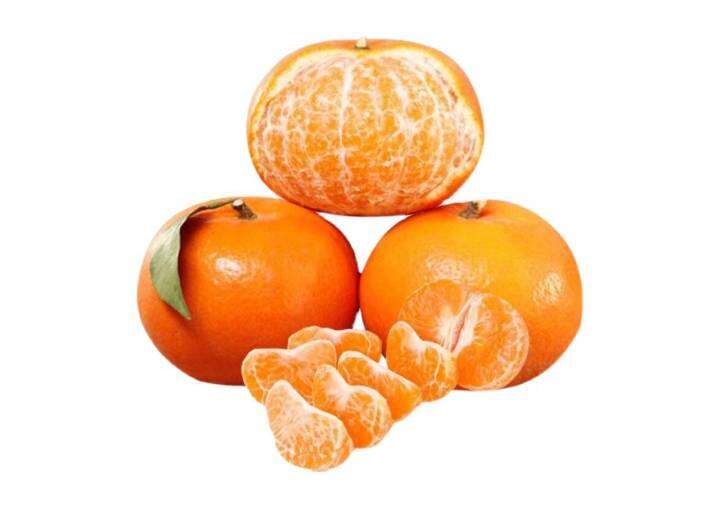 Wogun Imported Wogan Ponkan (1pc) | Lazada PH