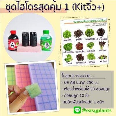 ชุดทดลอง Kitจิ๋วPlus ปลูกผัก สลัด ไฮโดรโปนิกส์ DIY พร้อมเมล็ดสลัดแบบเคลือบ 1 ชนิด ฟองน้ำปลูก ถ้วยปลูก คู่มือ แถมหลอดตวงปุ๋ย  สุดคุ้ม