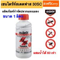 Chaindrite เชนไดร้ท์สเตดฟาส 30 SC ยากำจัดปลวกผสมน้ำแบบราดพื้น ขนาด 1 ลิตร(ส่งฟรีเคอรี่)