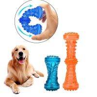 【hot】ஐ▽  TPR Large Dog Rubber Sound Bite-Resistant Pets Teethbrush Teeth Chewing Perros Accessories