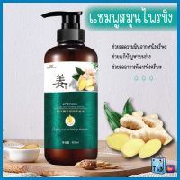 2277 ZHENXIU แชมพูขิง 500ml แชมพูสมุนไพร ยาสระผม แชมพูแก้ผมร่วง แชมพูแก้ผมบาง แชมพูปลูกผม