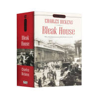 Bleak house Dickens original English novel