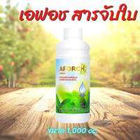 เอฟอช Aforch ( 1,000 ml ) สารจับใบ ชนิดเร่งดูดซึมไว ของแท้ 100% ใช้ได้กับทุกพืช