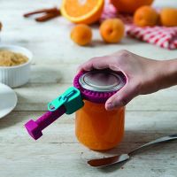 Jar Openers Manual Zipper Type Can Opener Increase friction Silicone Bottle Lid Gripper Best Gift for Lady Creative Kitchen Tool