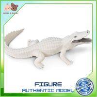 Safari Ltd. : SFR291929 โมเดลสัตว์ White Alligator ถ้วยหัดดื่ม แก้วหัดดื่ม ช้อมส้อมเด็ก ชุดจานเด็ก จานชามเด็ก ชุดถ้วยจานเด็ก ชุดจานชามเด็ก Mamy and Buddy