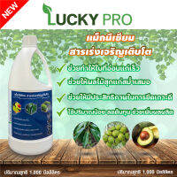 แมกนีเซียม(Mgo)สูตรเข้มข้นในรูปคีเลท(EDTA)ขนาด1,000cc LUCKY PRO สารเร่งโต เร่งเขียว ต้านทานโรค ยึดเกาะดี ธาตุอาหารรอง ฮอร์โมนพืช