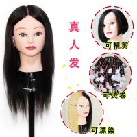 hot！【DT】✑  Real Human Hair Trainer Hot Volume Bleaching and Dyeing Haircut Styling Hairdressing