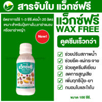 กิฟฟารีน แว็กซ์ฟรี  สารจับใบ ยาจับใบ ยาจับใบอย่างดี ดูดซึมเร็วกว่า คุณภาพสูง ของแท้ 100% ขนาด 100 ซีซี