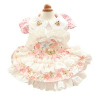 Spring Summer Dog Clothes Cute Dresses for Small Dogs Girl Dog Luxury Lolita Puppy Skirt with D-Ring for Leash Lace Ruffles Tutu Clothing Shoes Access