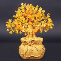 【CC】﹍☼  Bonsai Money Shui