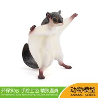 [COD] Cross-border hot-selling simulation wild forest animal flying squirrel model static tiger childrens enlightenment cognitive ornaments