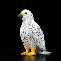 [HOT ZHLSWKCXKLKWHG 543] 25เซนติเมตรสูงเหมือนจริง Gyrfalcon ของเล่นตุ๊กตาชีวิตจริง Falco Rusticolum ยัดไส้สัตว์ของเล่นนุ่มเหยี่ยวนกของขวัญของเล่น