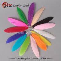 10PCS/bag Hot Selling Assorted Color Pretty Feather DIY Ornaments Goose Plume High Quality Plumage