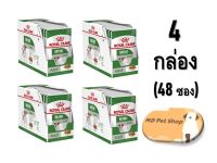 (ฟรีของแถม) Royal Canin Mini Adult 85g x 48 x 4 box อาหารเปียก สูตรสุนัขโต พันธุ์เล็ก ขนาด 85 กรัม x