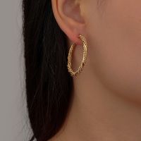 【YF】✔❃  Earrings for Woman Metallic 2022 New Jewelry Fashion Wedding Earring Hoop