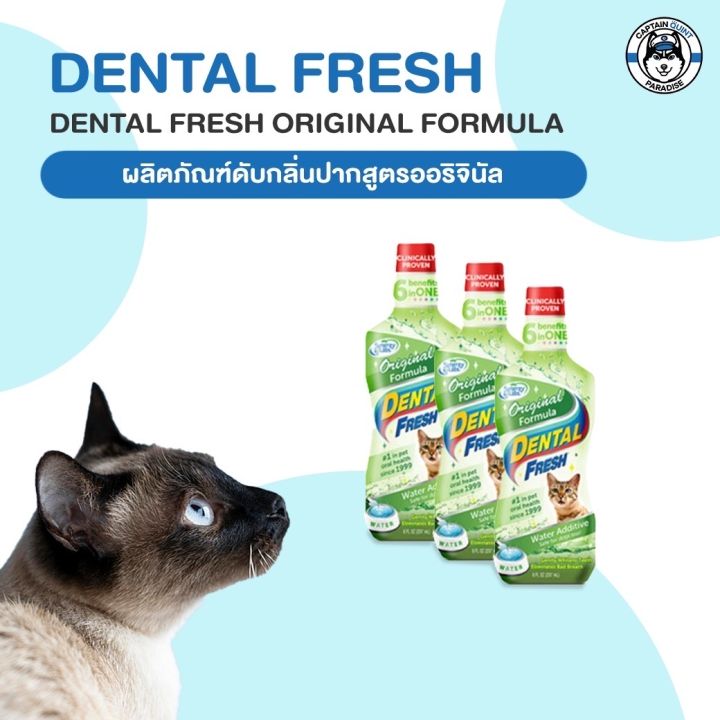 dental-fresh-น้ำยาลดกลิ่นปากสุนัข-ดูแลสุขภาพในช่องปาก-ลดหินปูน