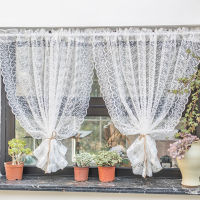 British Country Lace Partition Curtain White Dream Wave Edge Tulle Small Short Drpes Kitchen Roman Curtains Decoration Panel#4