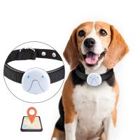 เครื่องติดตามสัญญาณ GPS Pet อัจฉริยะเครื่องติดตามแบบคล้องคอกันน้ำขนาดเล็กกันการสูญหายสำหรับปลอกคาสุนัขแมวกันน้ำการชาร์จ USB