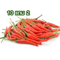 10 แถม 2 ?️พริกจินดาแดง?ถูกที่สุด 10 บ.?เมล็ดพันธุ์พริกจินดาแดง 20 เมล็ด?งอกง่าย ?โตไว?️ผลดก?ทานอร่อย