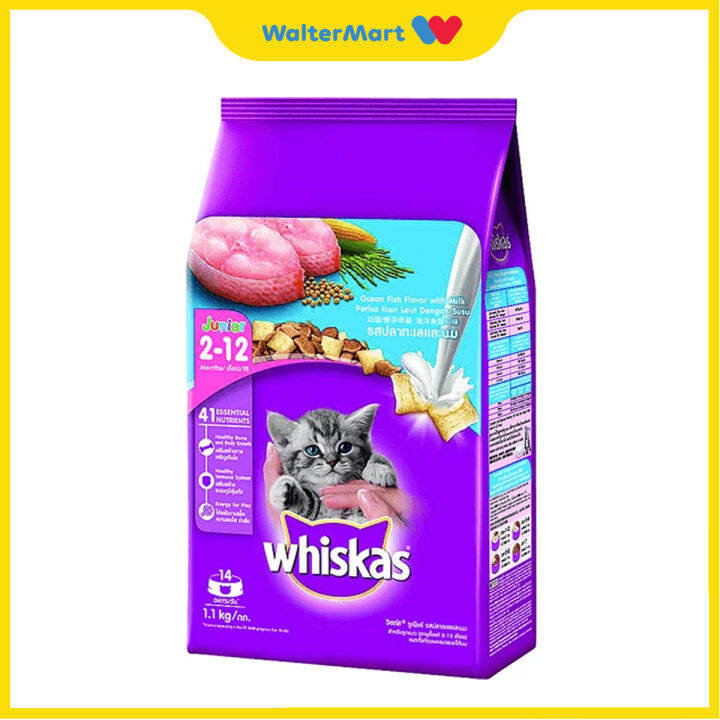 WHISKAS 100 Authentic Dry Cat Food Junior Ocean Fish with Milk Flavor