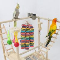 Parrot Toys for Large Birds Cardboard Big Bird Toys African Grey Parrot Toys Natural Wooden Bird Cage Chewing Toy with Clip