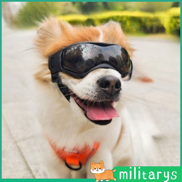 แว่นตาสัตว์เลี้ยงพร้อมแถบคาดศีรษะกันลมกัน-uv-ป้องกันเคสโครงอ่อนแว่นตาแว่นตาสำหรับสุนัขและแมว