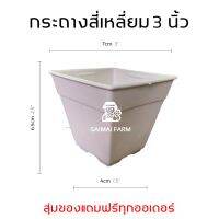 กระถางสี สี่เหลี่ยม 3 นิ้ว กระถางแคคตัส (กระบองเพชร) | Color pot, square 3 inches, cactus pot