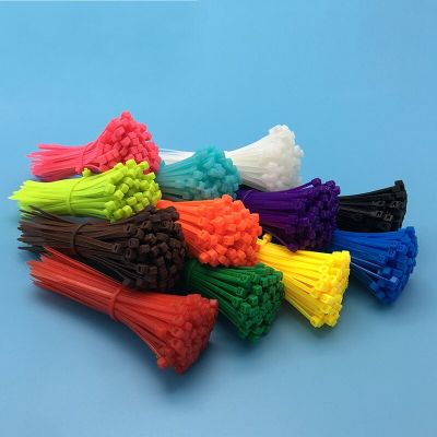 12 colors 3*200*2.5mm  x 100 pieces*color cable tie light/pink nylon cable tie brown/orange/purple