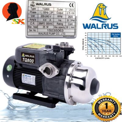 ( PRO+++ ) โปรแน่น.. ปั้มน้ำAutomatic Booster Pump แรงดันคงที่ 750W WALRUS รุ่น TQ800 ราคาสุดคุ้ม ปั้ ม น้ำ ปั๊ม หอยโข่ง ปั้ ม น้ํา โซ ล่า เซล เครื่อง ปั๊ม น้ำ อัตโนมัติ