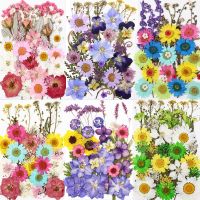 【CW】 Dried Flowers UV Resin Stickers Filling Jewelry Making Dry Decal Handicraft