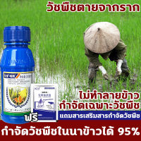 ?กำจัดวัชพืชเท่านั้น? VM ยาคุมหญ้าข้าว คุมฆ่าในนาข้าว ยาคุมหญ้าข้าว 100ML เข้มข้นสุดๆ (1ชุด ผสมน้ำ180catties) ประหยัดข้าวจากวัชพืช หลังหว่านข้าว 7-15 วัน วัชพืชในนาข้าวต่างๆ หญ้าข้าวนก หญ้าหูหนู สารกำจัดวัชพืช คุมเลนนาข้าว ยาคุมหญ้า กำจัดวัชพืชดื้อยา