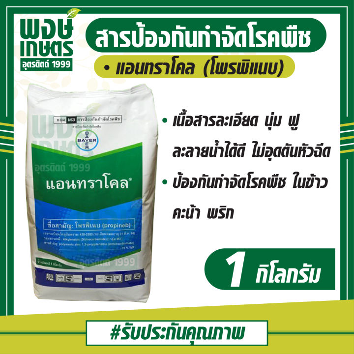 แอนทราโคล-โพรพิเนบ-propineb-1-kg-สารป้องกันกำจัดโรคพืช-ในข้าว-คะน้า-พริก-เช่นใบจุดน้ำตาลในข้าว-โรคราน้ำค้าง-โรคแอนแทรคโนส-ป้องกัน-กำจัด-ศัตรูพืช-วัชพืช-ยาคุมหญ้า-เคมีเกษตร-พงษ์เกษตรอุตรดิตถ์