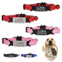 【CW】 Reflective Collar Custom Personalized ID Engraving Small Dog Adjustable for Kittens Necklace