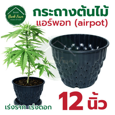 กระถางแอร์พอท 12 นิ้ว สีดำ (1-5 ใบ) กระถางเร่งราก กระถางต้นไม้ กระถาง Air pot กระถางมีรู l บ้านแบงค์ฟาร์ม