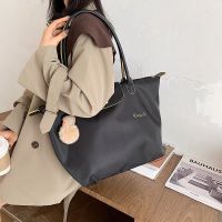 Long handle nylon longchamp bag hand carry bags for women shipping bag 984