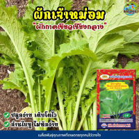 เมล็ดผักกาดเขียวเชียงกลาง ผักเจ้าหม่อม Leaf Mustard ตราภูเขาทอง เมล็ดผักกาดเขียว เมล็ดผักสวนครัว เมล็ดพันธุ์ผัก