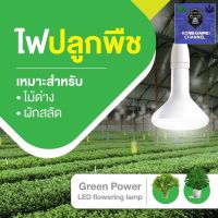 [พร้อมจัดส่งฟรี]ไฟปลูกต้นไม้ ไฟปลูกพืช ไม้ด่าง LED philipsมีบริการเก็บเงินปลายทาง