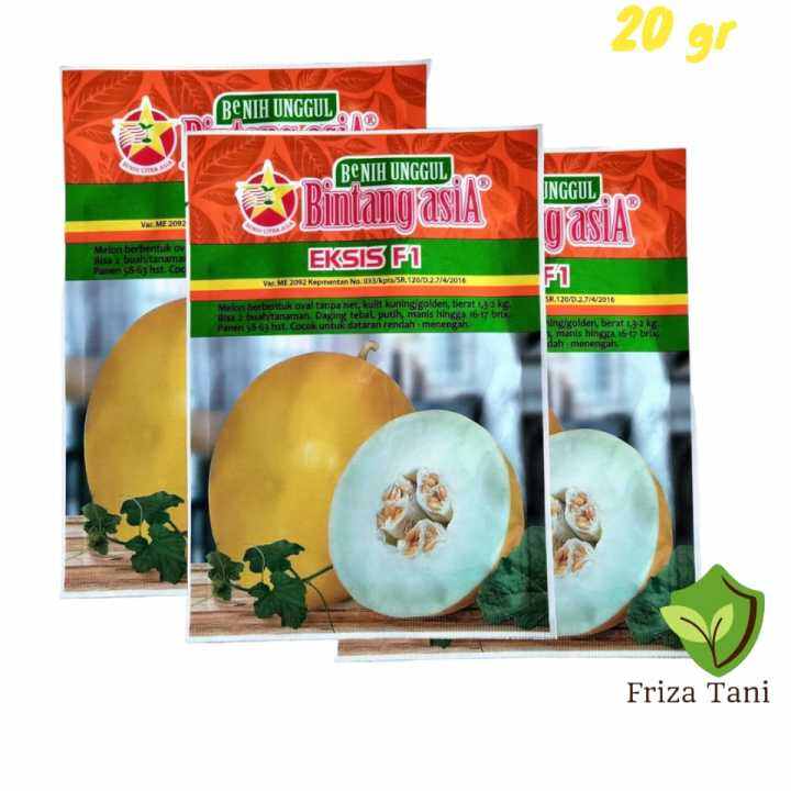 Benih MELON EKSIS F1 20gr Bibit Melon GOLDEN Hibrida Melon Madu Super ...