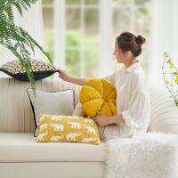 2023 Modern Light Luxury Cushion Cover Soft and Comfortable Pillow Case for Home Décor Chenille Print Throw Pillow Covers