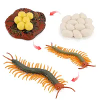 [COD] Childrens cognitive simulation terrestrial arthropod centipede growth cycle model life stage decoration