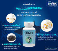 กระดูกอ่อนปลาฉลาม VORA SHARK CARTILAEG PLUS