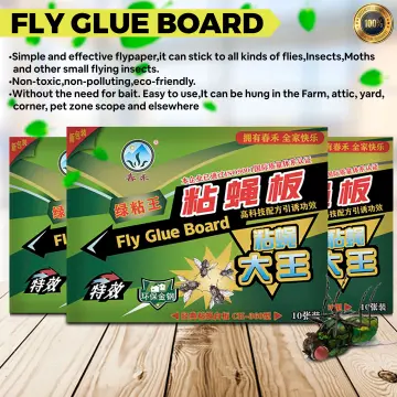 Shop Flying Insect Sticker with great discounts and prices online