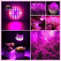 CCVG E27 LED ไฟพืชเติบโต Lampu Grow หลอดไฟโคมไฟสเปกตรัมเต็ม