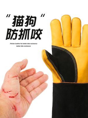 High-end Original Pet Anti-Bite Gloves Dog Training Thick Anti-Cat Scratching Cat Paw Catching Animals Feeding Cats and Dogs Protecting Food Bite Training Dogs
